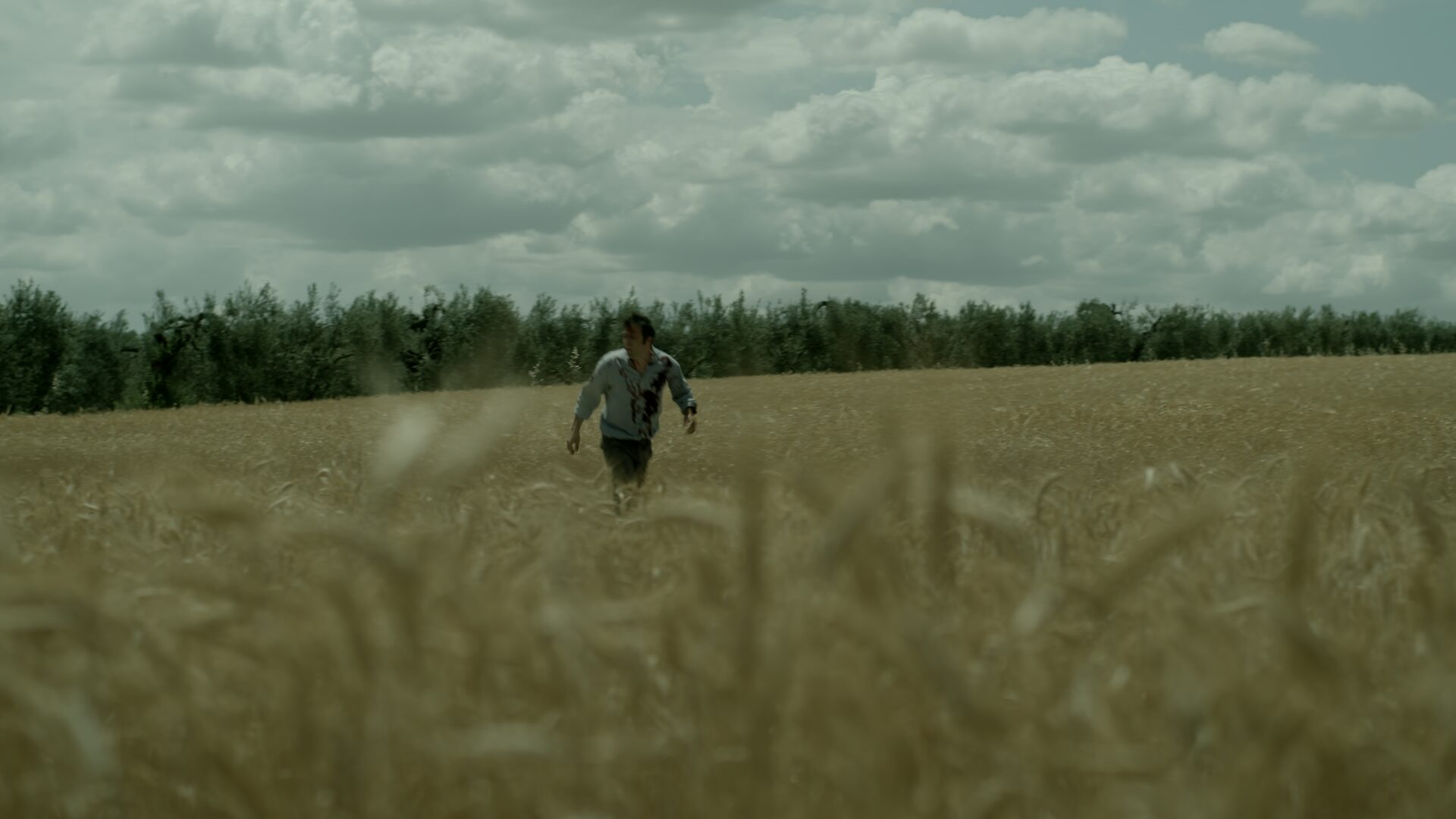 Still 06 de Los Galindos, corrección de color por Pepe Alarcón colorista para Amazon Prime Video