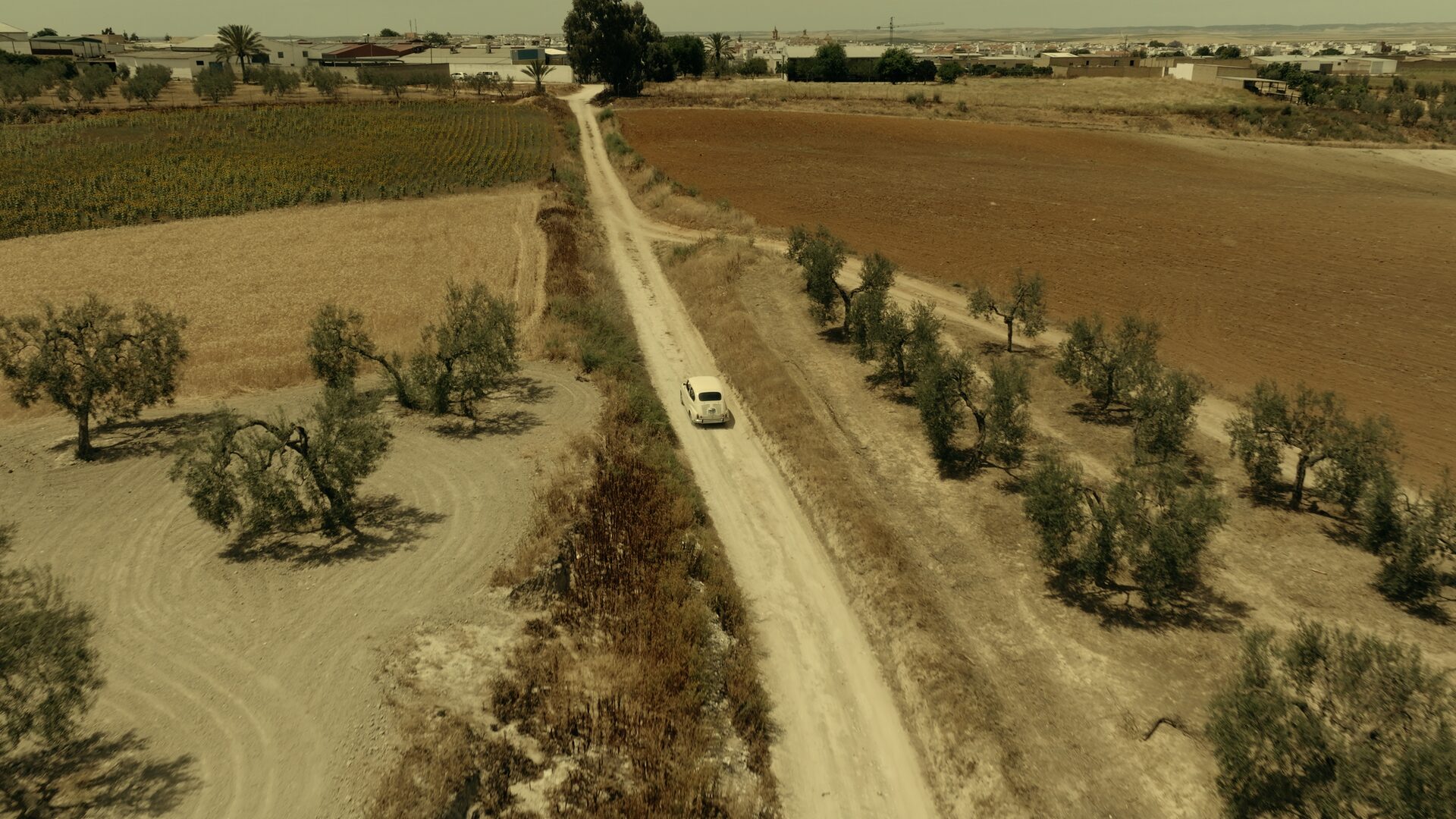 Still 14 de Los Galindos, corrección de color por Pepe Alarcón colorista para Amazon Prime Video
