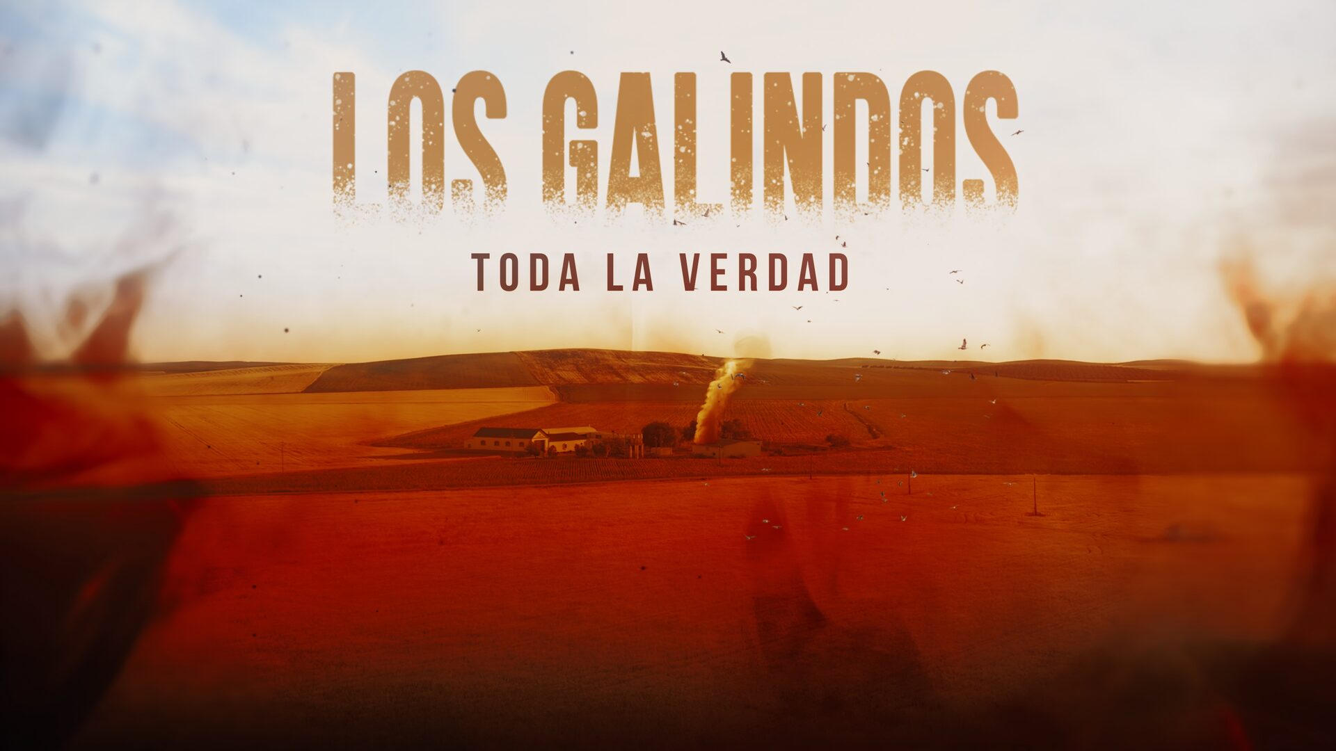 Los Galindos: Toda la verdad