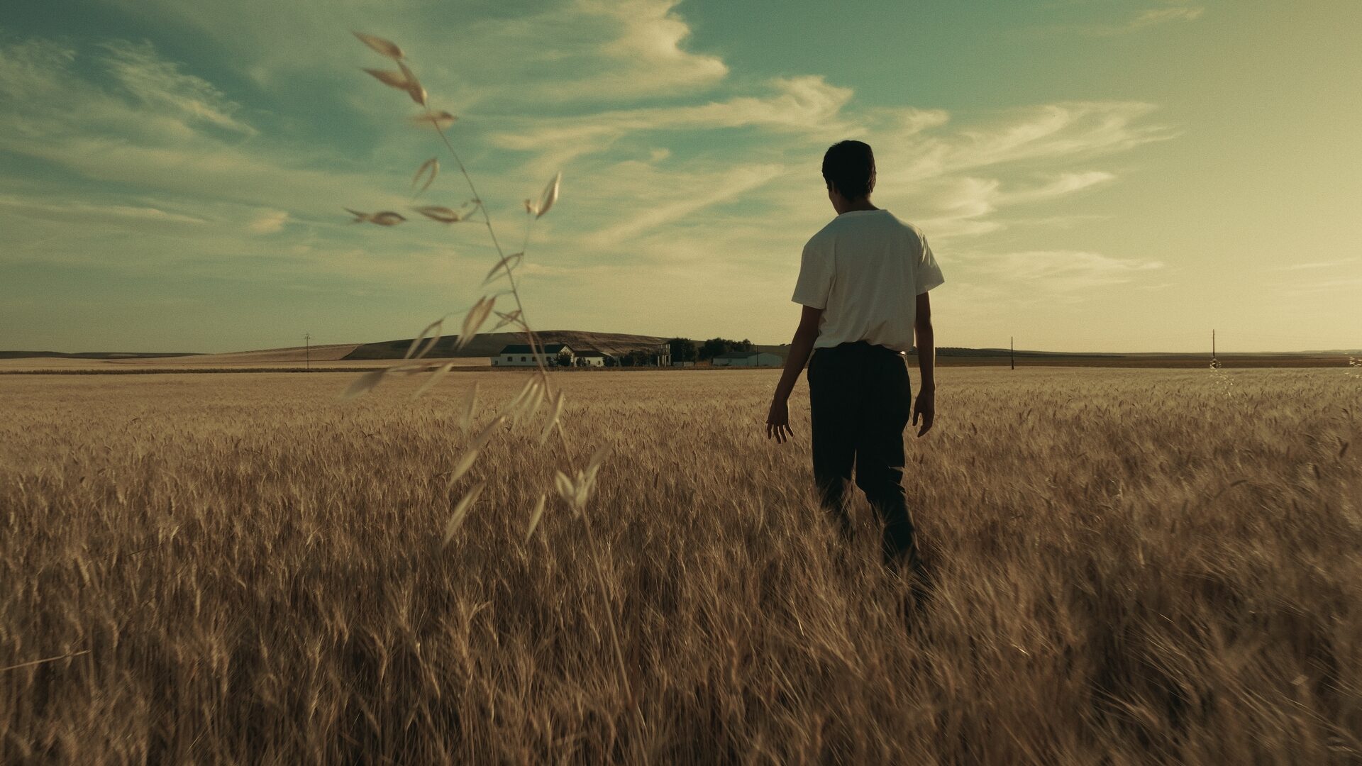 Still 30 de Los Galindos, corrección de color por Pepe Alarcón colorista para Amazon Prime Video