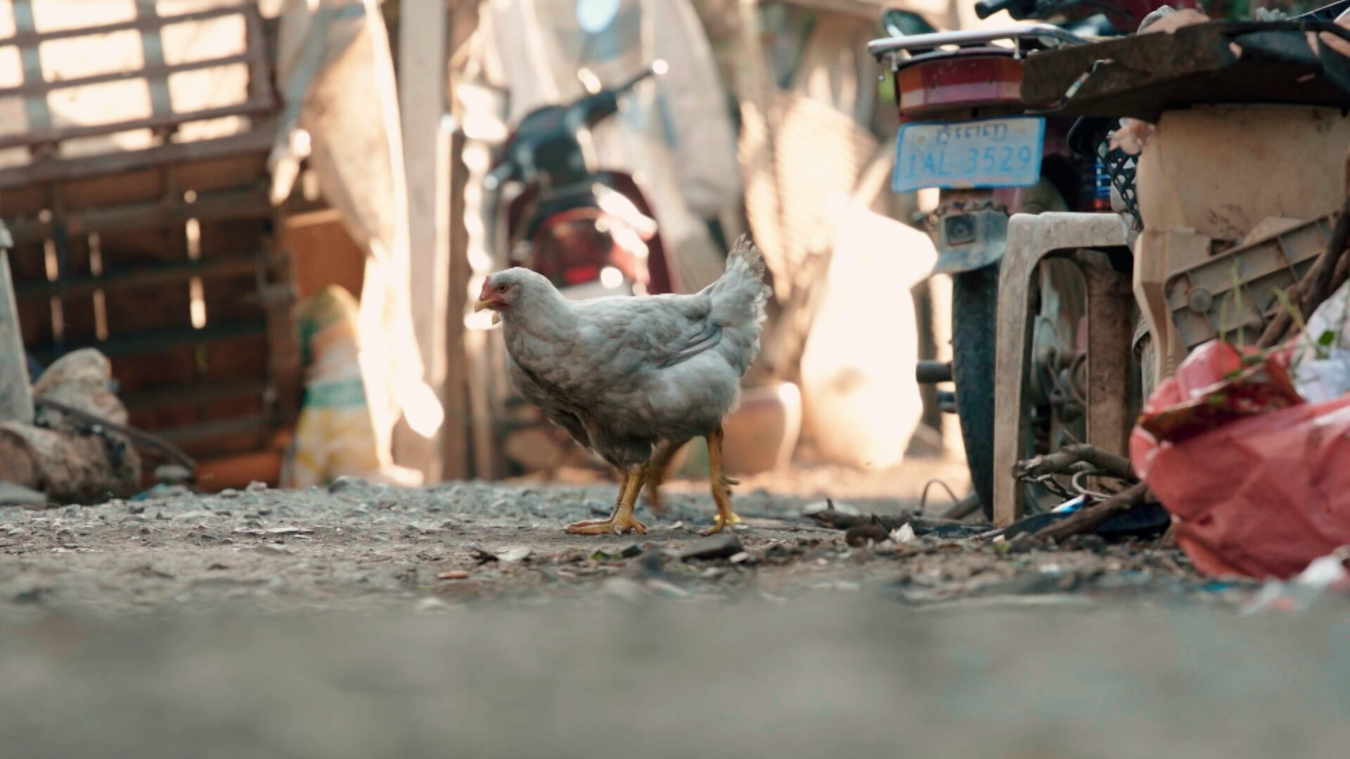 Still 09 de Misión en Battambang, corrección de color por Pepe Alarcón colorista para Amazon Prime Video